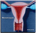 /album/galeria-de-fotos-temas/menstrua%c3%a7%c3%a3o-jpg/